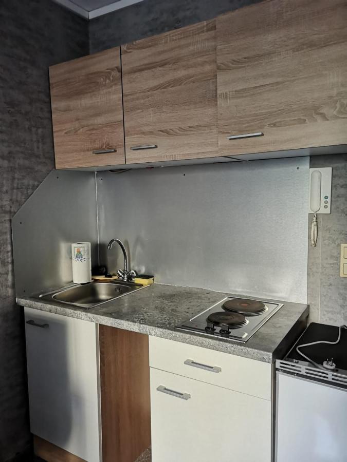 Appartement Cozy Flat, Central, Easy Parking, Clam à Bayreuth Extérieur photo